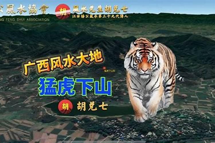 风水宝地出大官