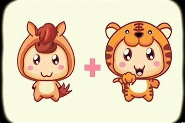 属龙女遇到属狗男