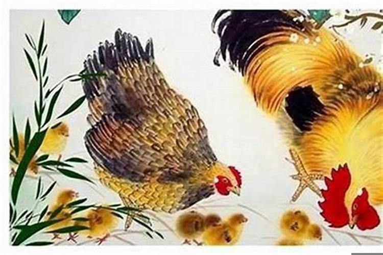 81年十月初四的鸡是什么命