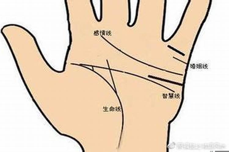 手大脚大的人面相