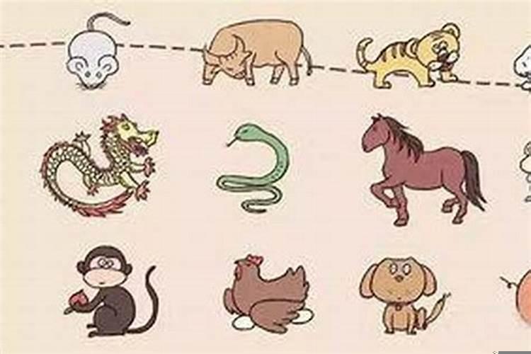 十二生肖谁最念旧