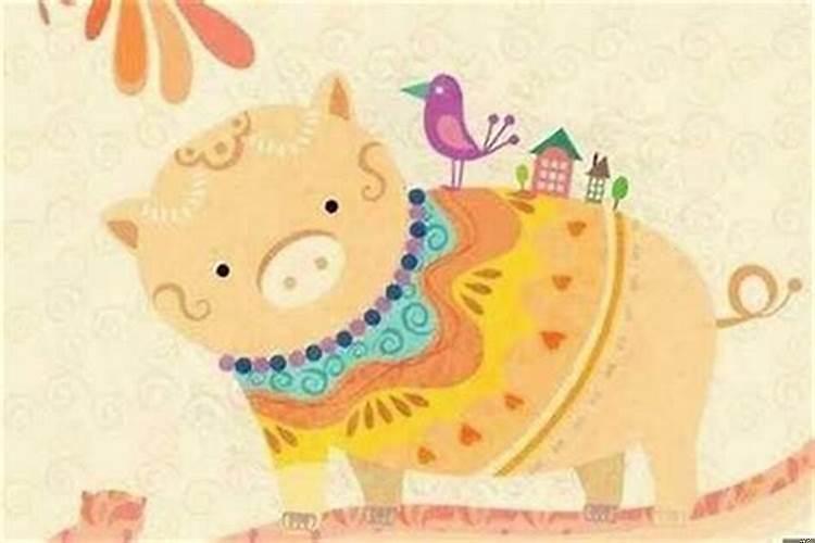 属猪天秤女一生命运