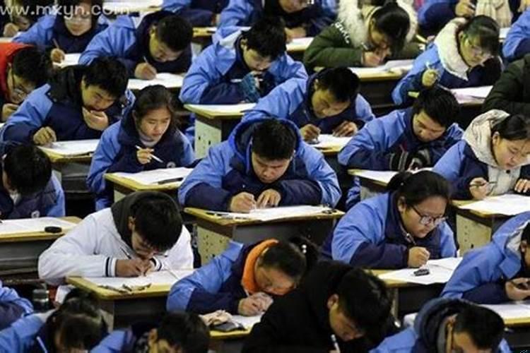 梦到什么是成绩好