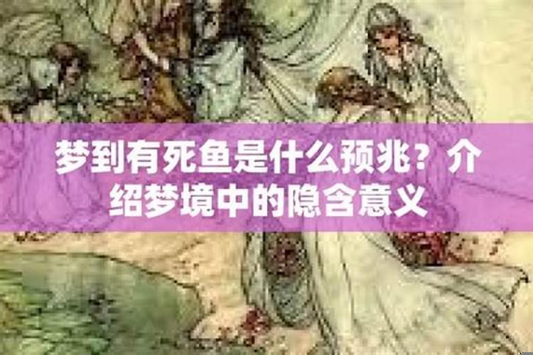 梦见死鱼是什么预兆解梦