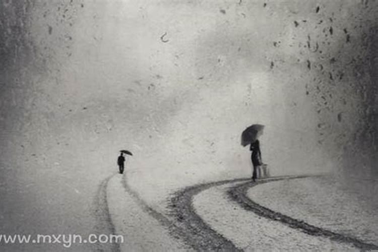 女人梦到蛇是什么预兆