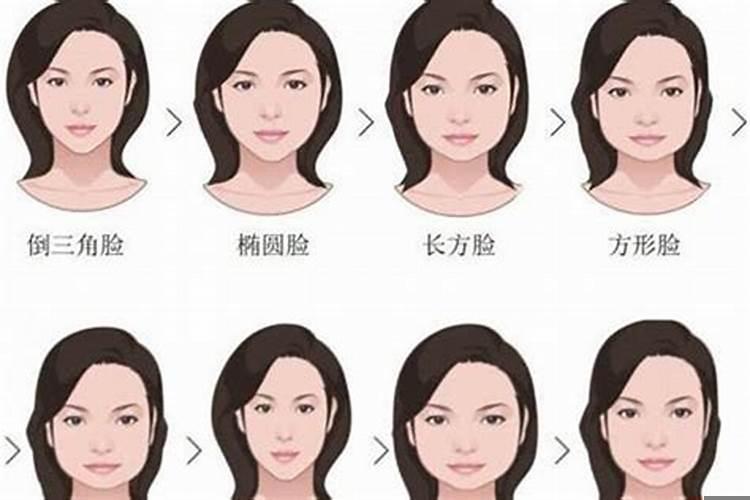 十二星座脸型排名