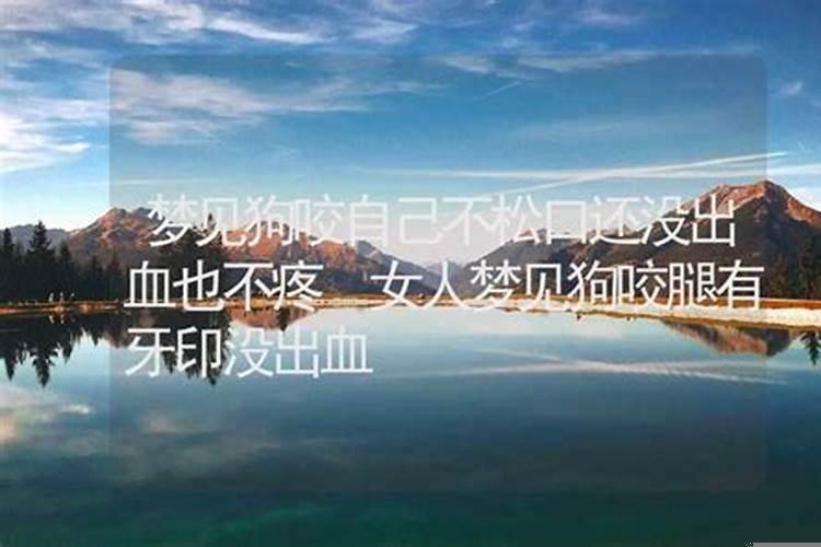 梦到蛇并且被蛇咬