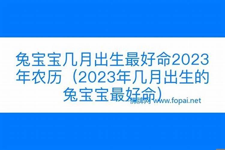 2022年是什么兔年