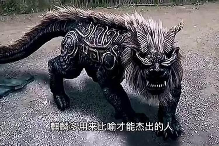 一对麒麟什么意思