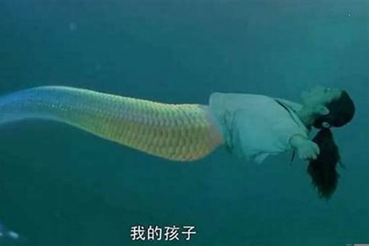 梦见两条美人鱼