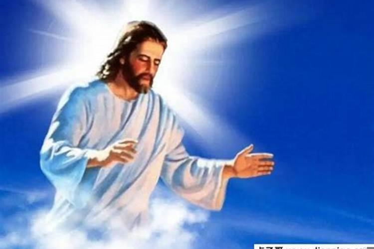 最会宠人的星座