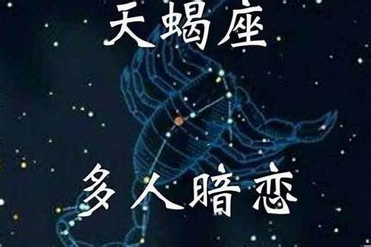 天蝎男会和前任复合吗