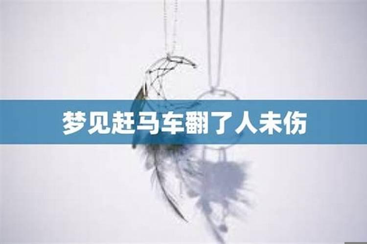 梦到儿子赶着马车撞死人了