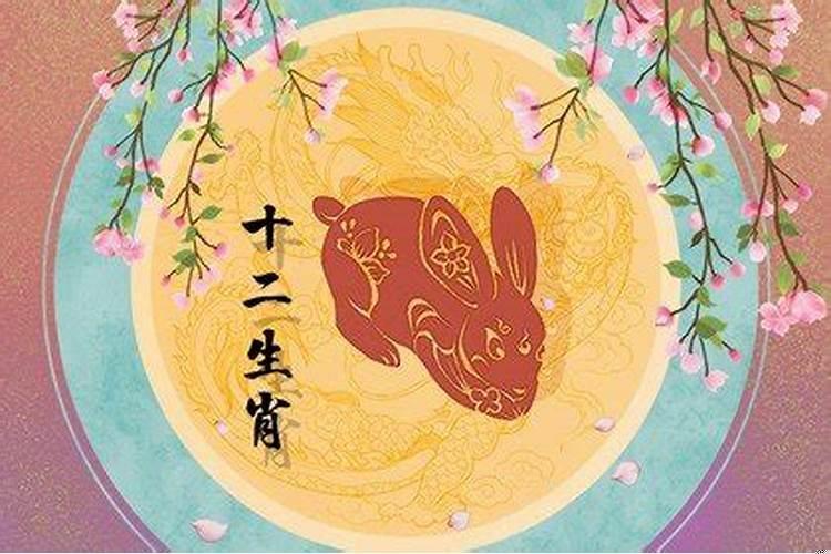 2025年是什么兔年什么命