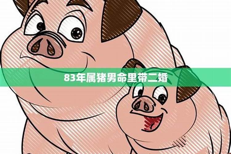 83年女猪一生有二婚吗