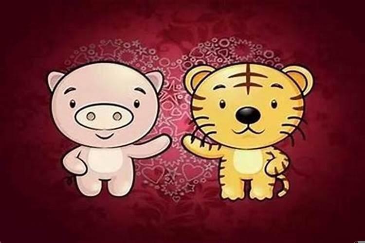 情侣都属虎合适吗
