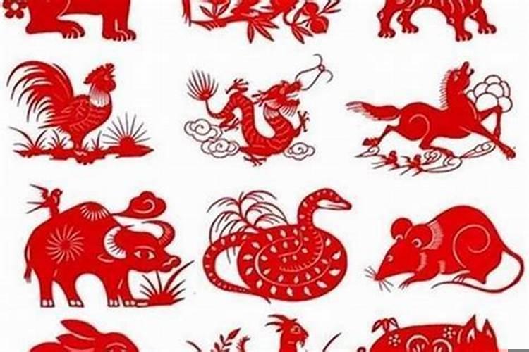 属虎属牛哪个更厉害