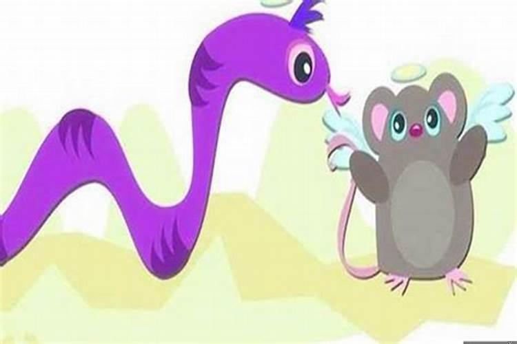 属鼠和属蛇的人合不合财