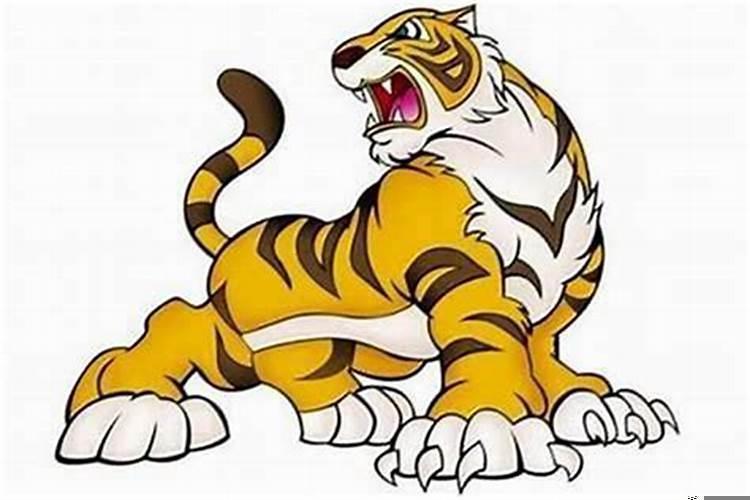 六二年的虎是什么命人