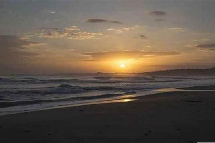 绿萝怎么摆放最旺财