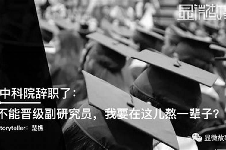 属兔的人运气都很好吗为什么