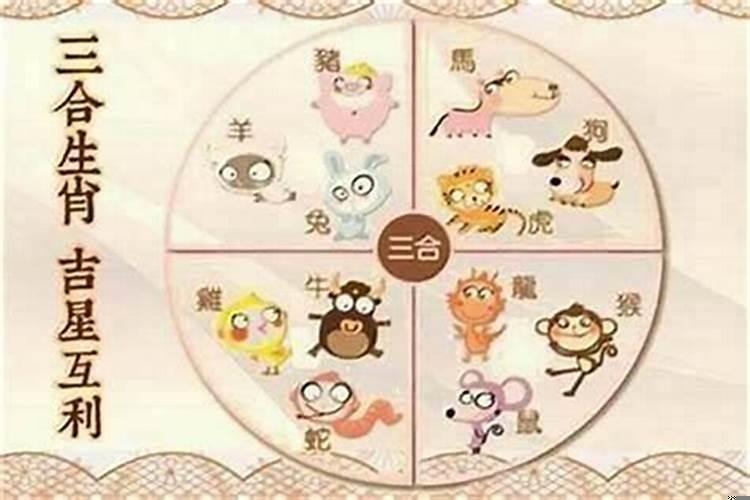 三美女是指什么肖