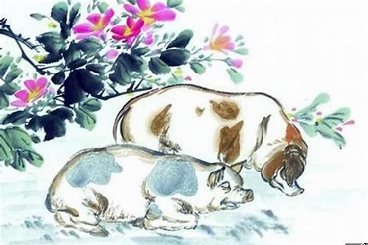 属猪风水学