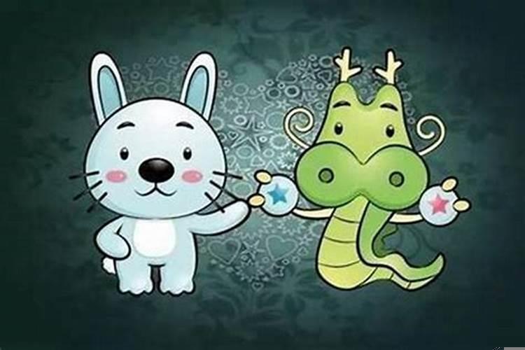 属兔和属龙能结婚吗?