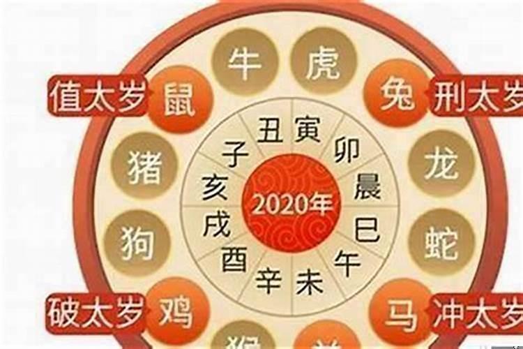 属虎2022年出生