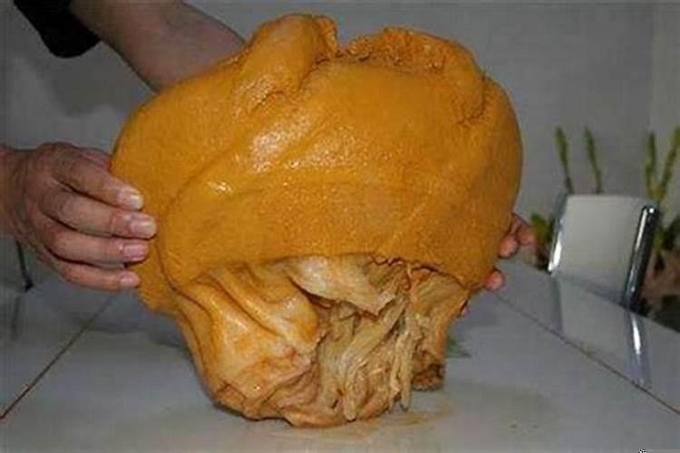 太岁吃了可以长生不老