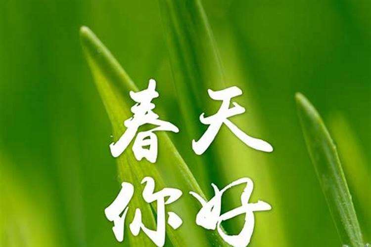 2025年闰二月有什么说法