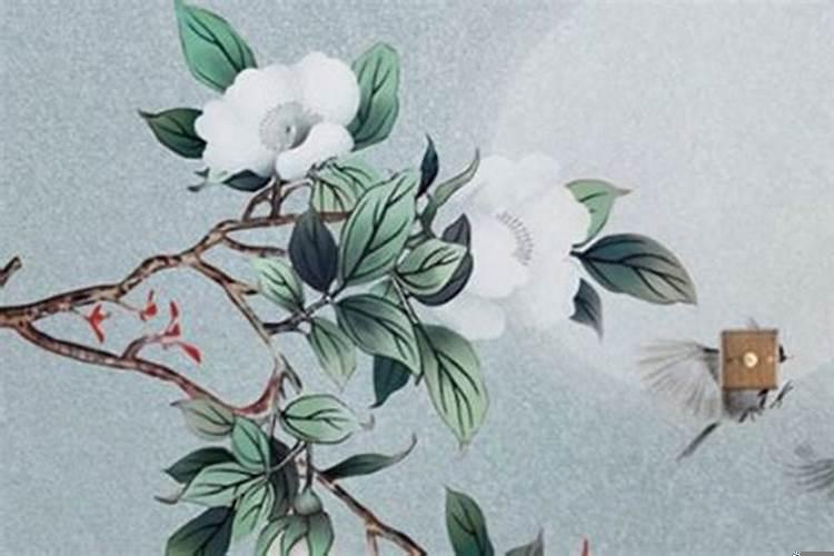 属鸡人近三年运势