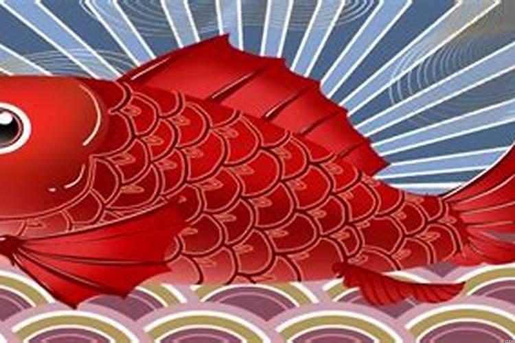 梦到巨大的红鲤鱼