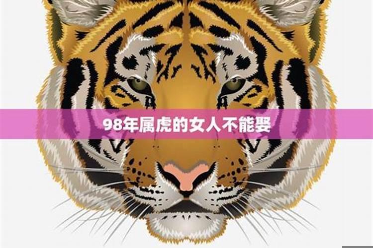 娶了属虎的女人