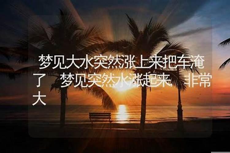 梦到潮水涨上来了