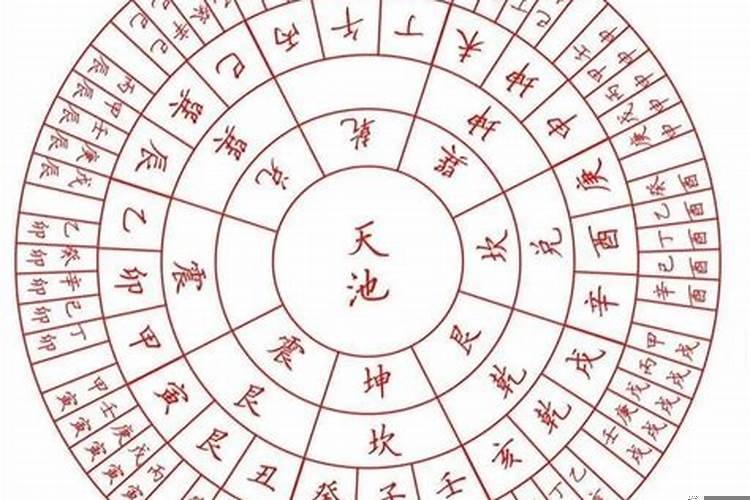 八字里天干重要还是地支重要?