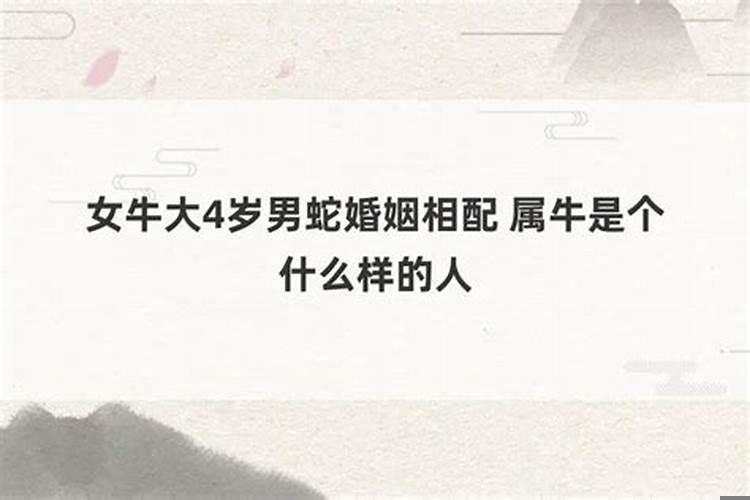 男属牛,女属蛇相配吗