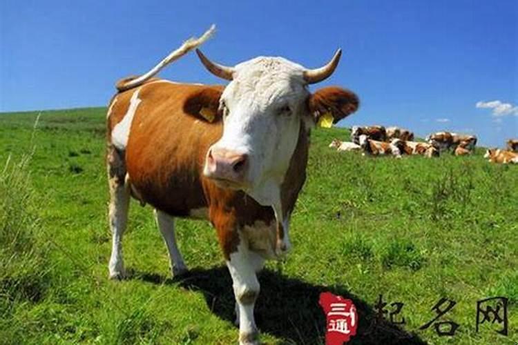 经常梦到学生时期