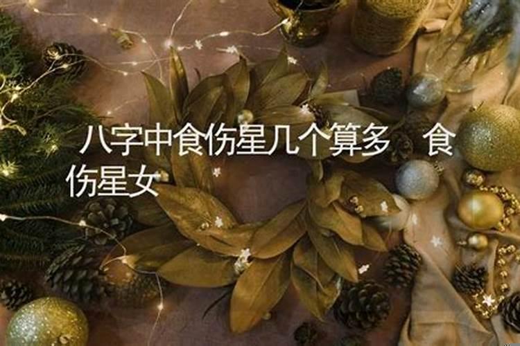 八字伤官太重是什么意思