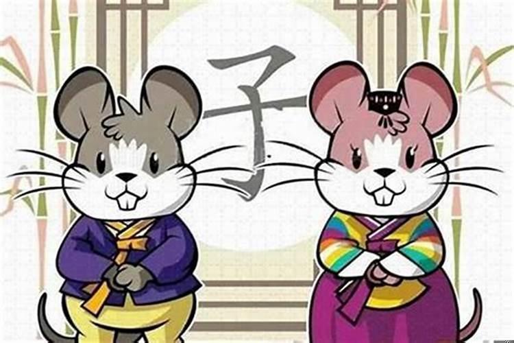 属猴与属鼠合吗