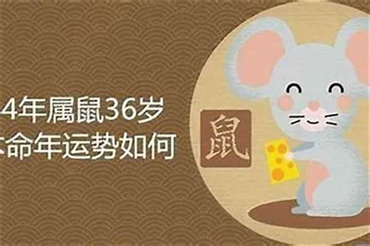 84年属鼠的命中再婚吗