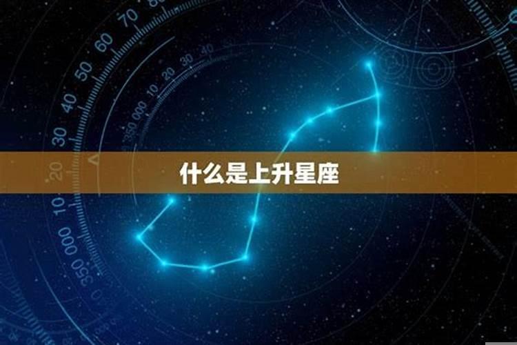 最会欲情故纵的星座