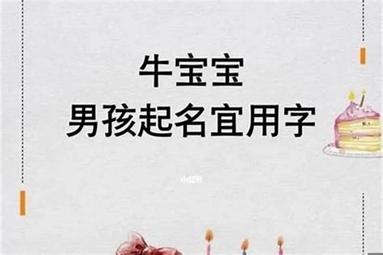属牛的男孩起什么名字好