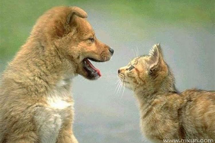 胎梦梦到生男孩是什么意思