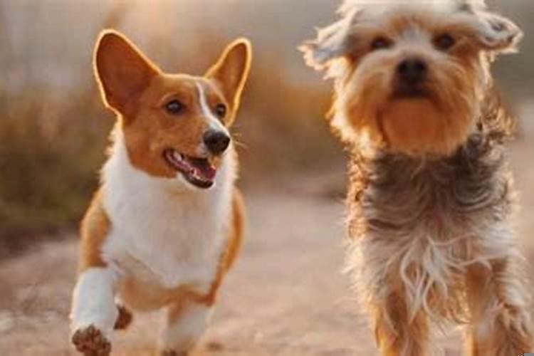 梦见前男友和别人睡了