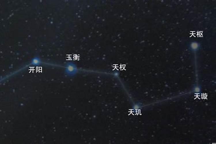 2025年11月12日属相是什么