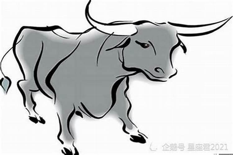 属牛跟属狗的配吗