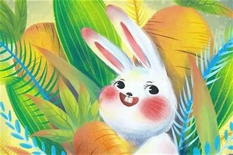 女鼠男兔相刑严重吗