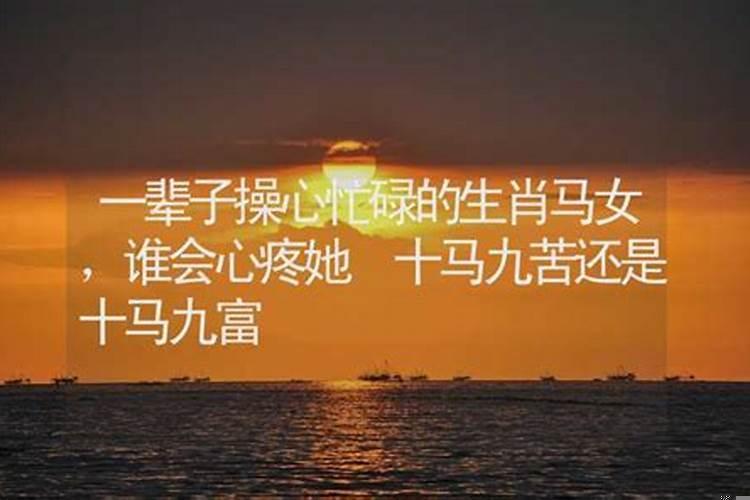 十马九富什么意思