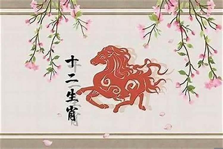 属马女人婚姻